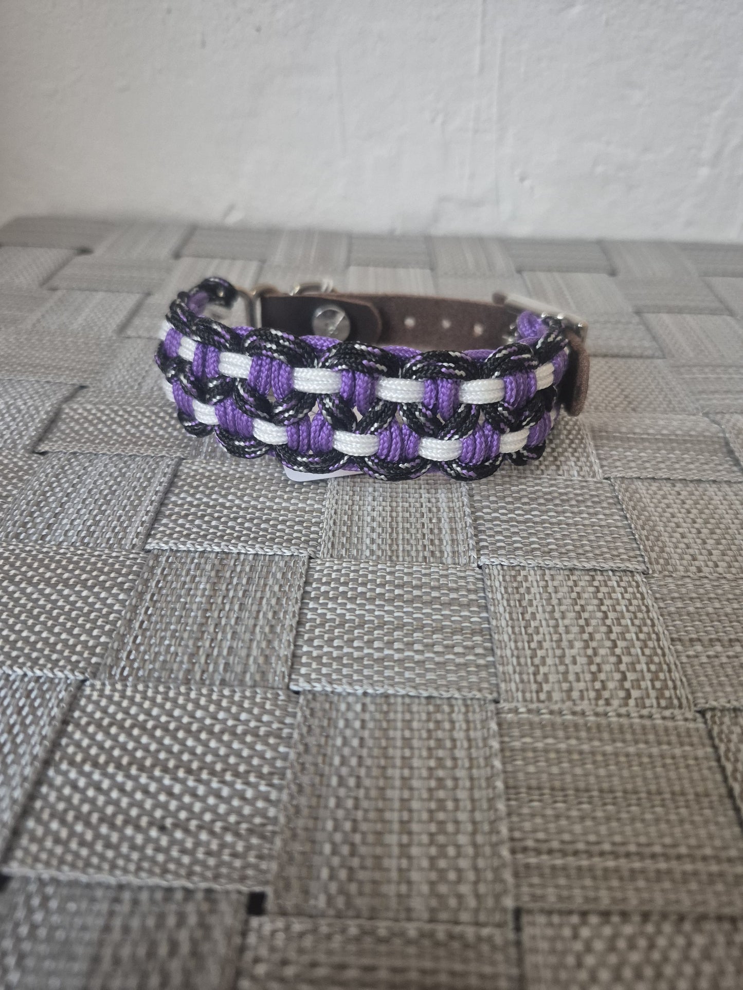 Halsband "Buddy" Gr. XS 19 - 23 cm